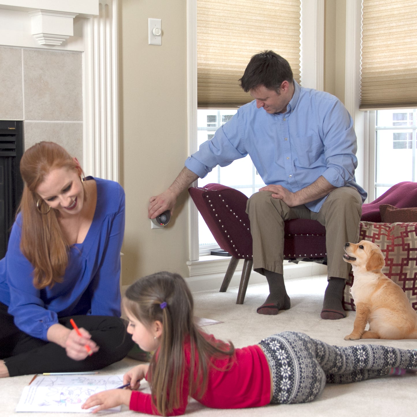 Pest Reject REPELENTE Espanta Pestes